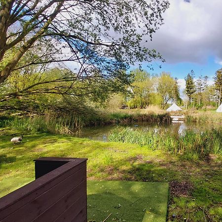 Rum Bridge Fisheries "The Cabin" Hotel Clare Buitenkant foto