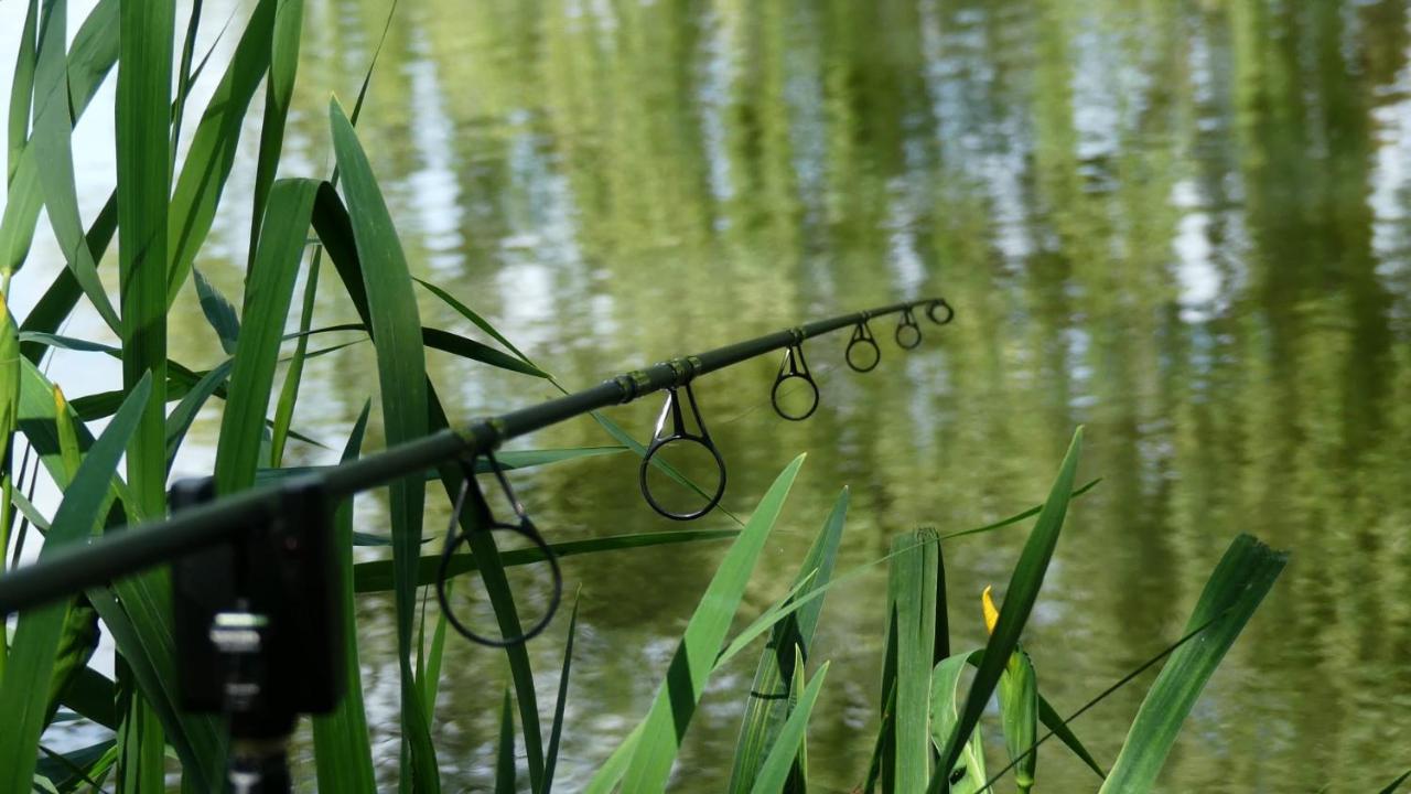 Rum Bridge Fisheries "The Cabin" Hotel Clare Buitenkant foto