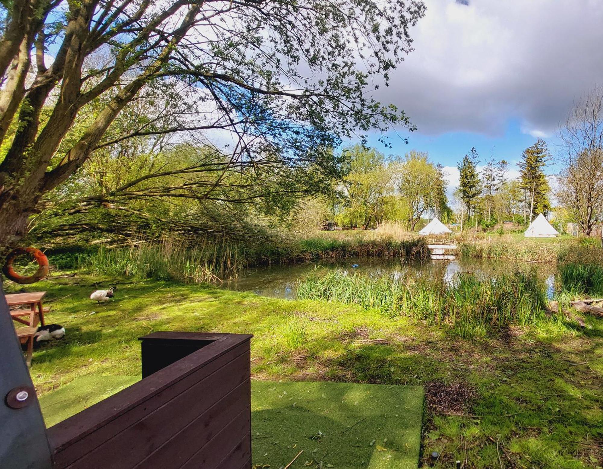 Rum Bridge Fisheries "The Cabin" Hotel Clare Buitenkant foto