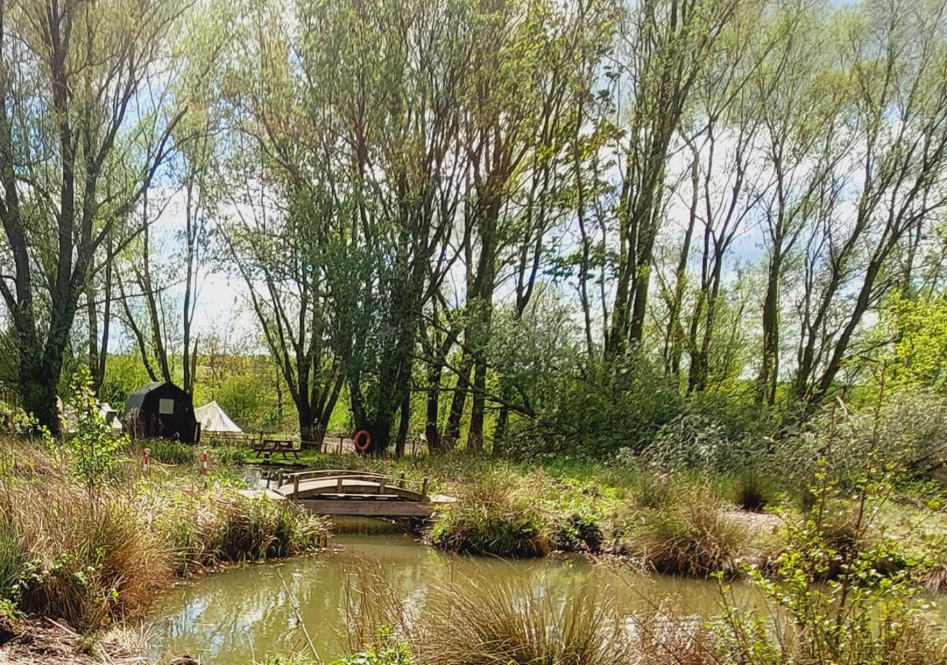 Rum Bridge Fisheries "The Cabin" Hotel Clare Buitenkant foto